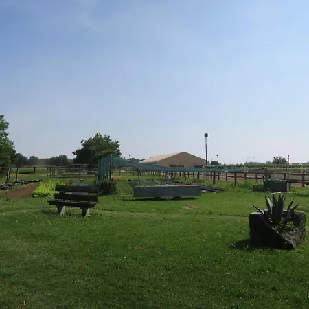 Hébergement de vacances Domus Magna-2 By Interhome Povoletto